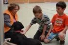 Hundetraining_6