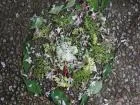 Land Art 5
