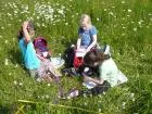 Wiesenforscher_21