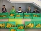 Schulfrucht_1