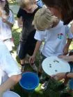 Sommerfest 2012_23