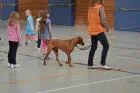 Hundetraining_2
