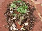 Land Art 10
