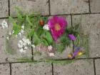 Land Art 2